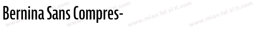 Bernina Sans Compres字体转换